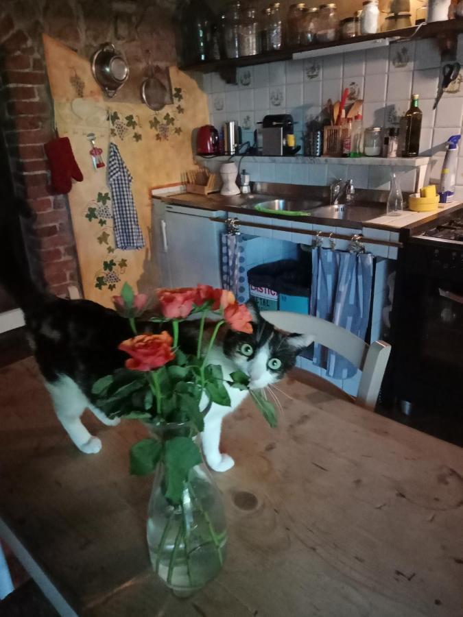 Morelli House Pensionat Montalbo Eksteriør billede
